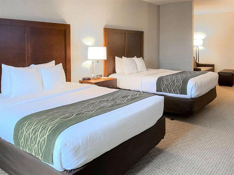 Comfort Inn & Suites Rogersville Exteriér fotografie