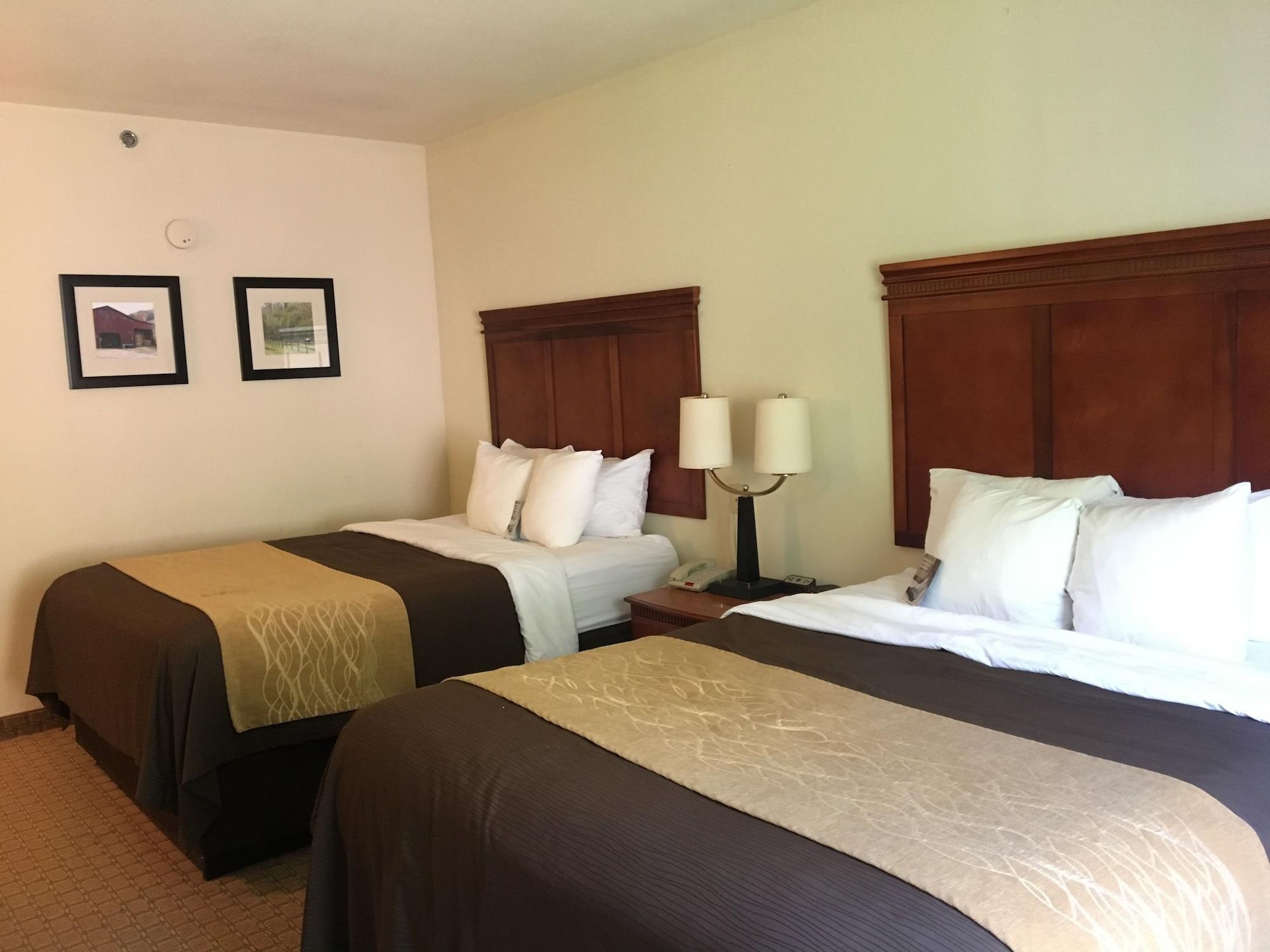 Comfort Inn & Suites Rogersville Exteriér fotografie
