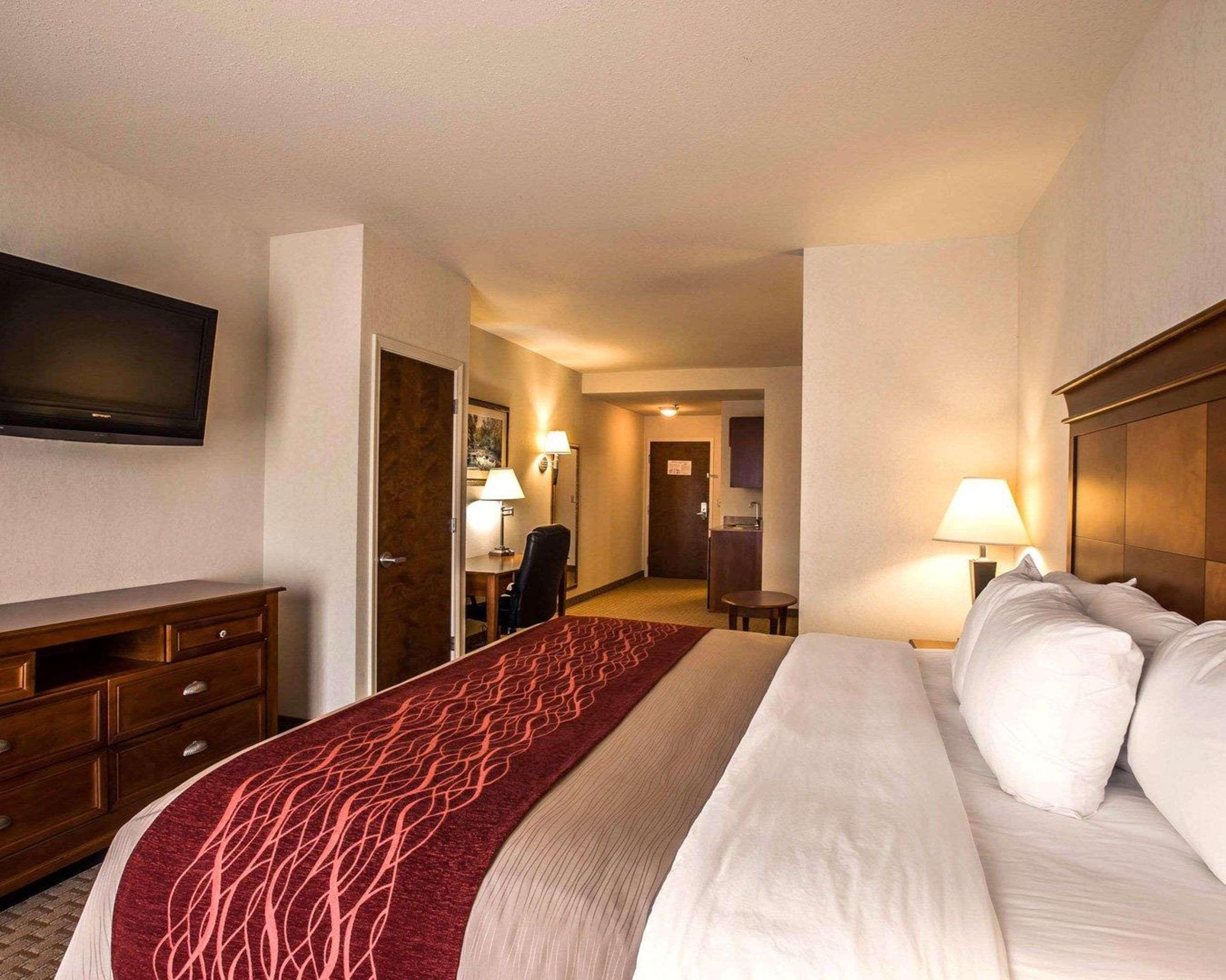 Comfort Inn & Suites Rogersville Exteriér fotografie